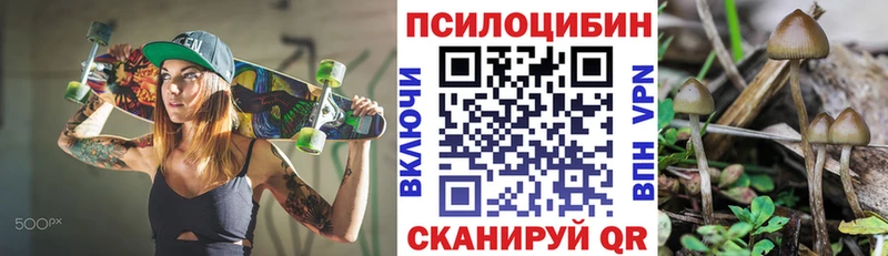 KRAKEN как войти  Сим  Галлюциногенные грибы MAGIC MUSHROOMS  где можно купить наркотик 